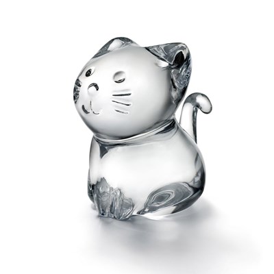 Kitty clear