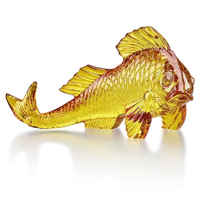 Poisson carpe ambre