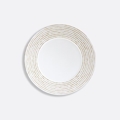 Dinner plate