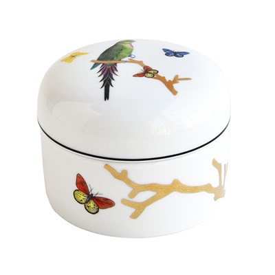 Airtight container PM