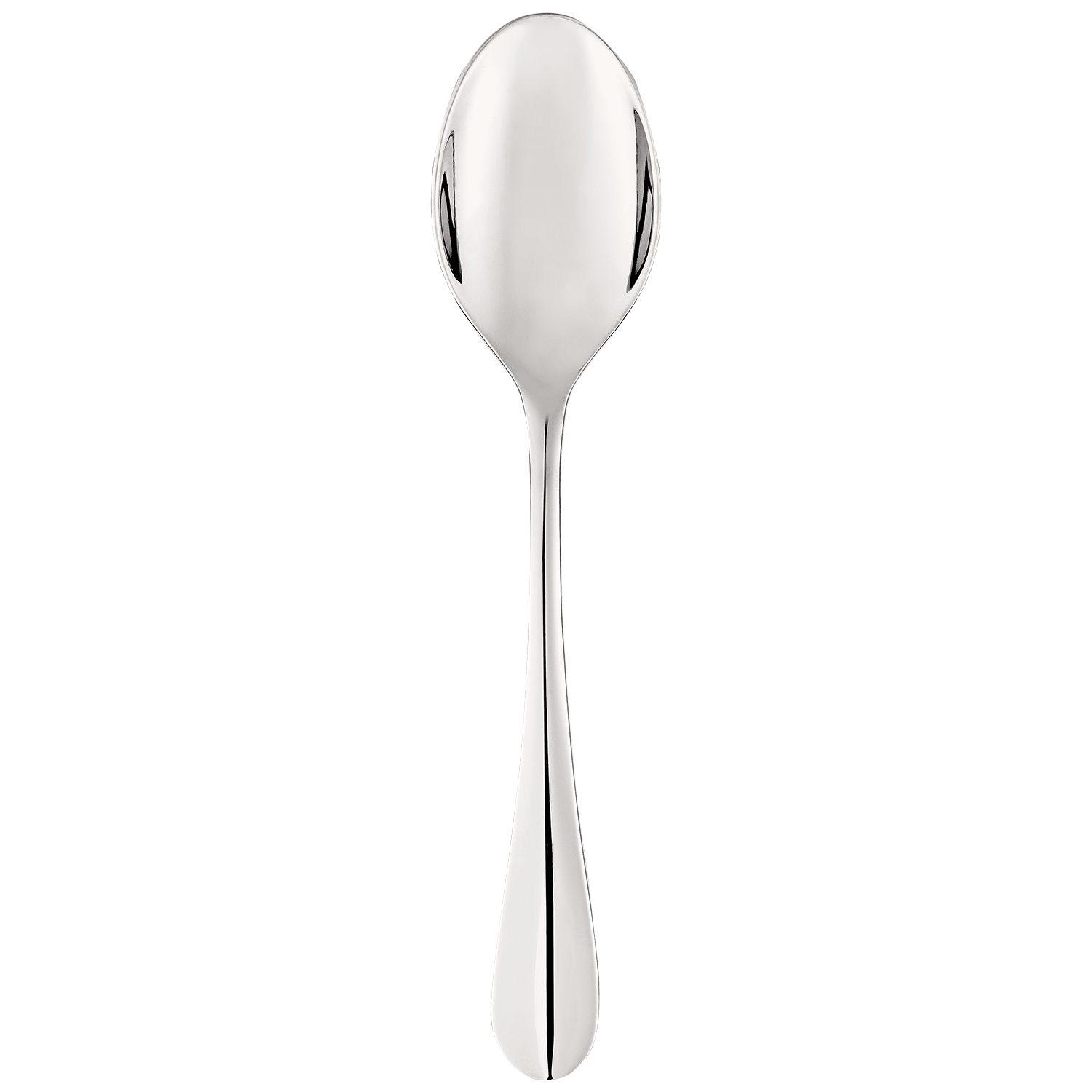 Stainless Steel serving spoon