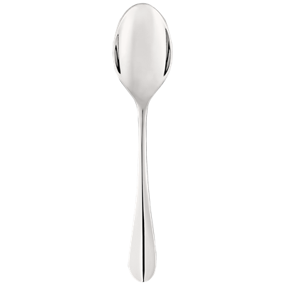 Stainless Steel serving spoon