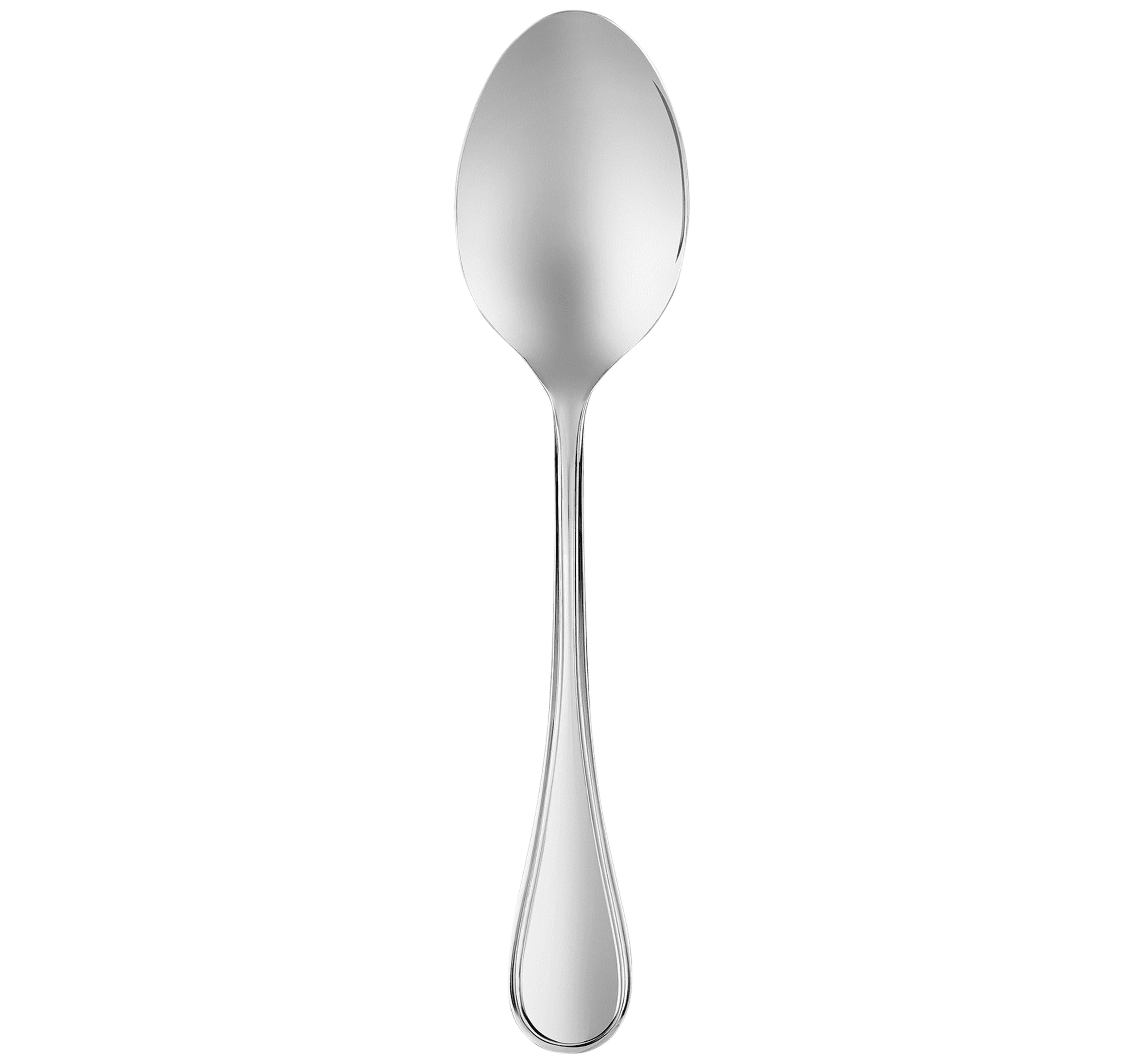 Stainless steel serving spoon