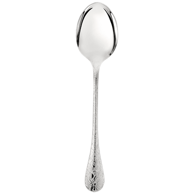 Silver-Plated serving spoon