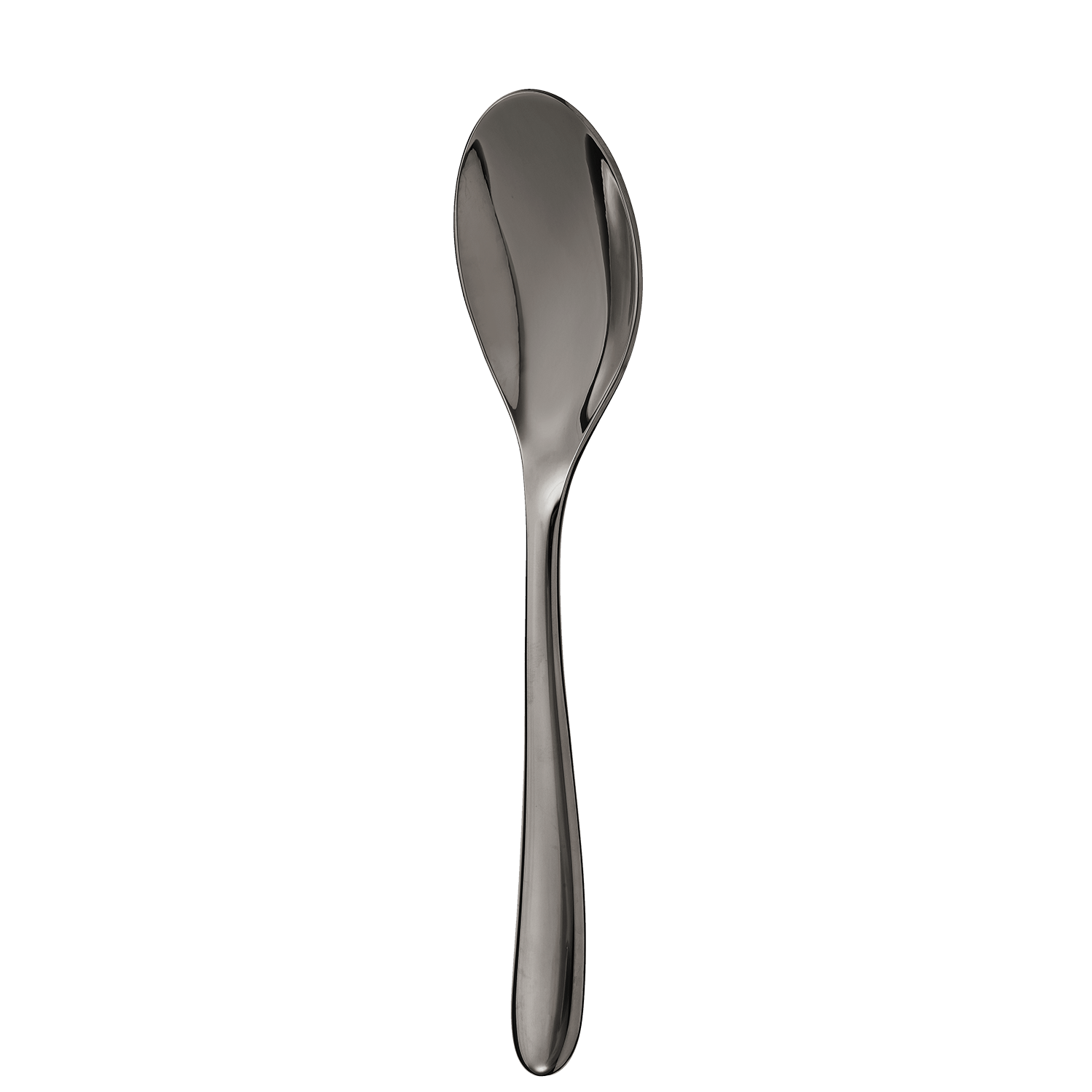 Black stainless steel soup spoon