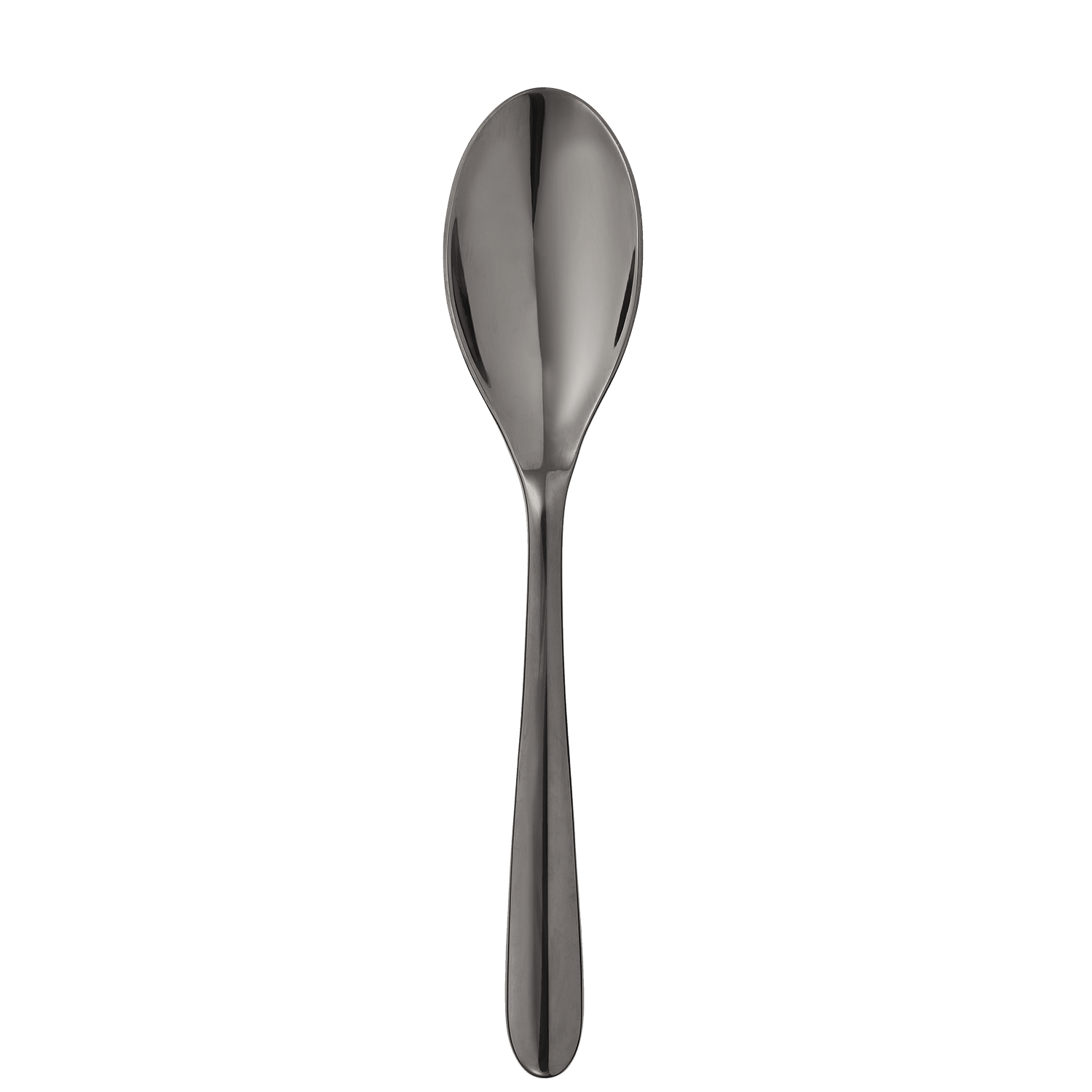 Black stainless steel soup spoon