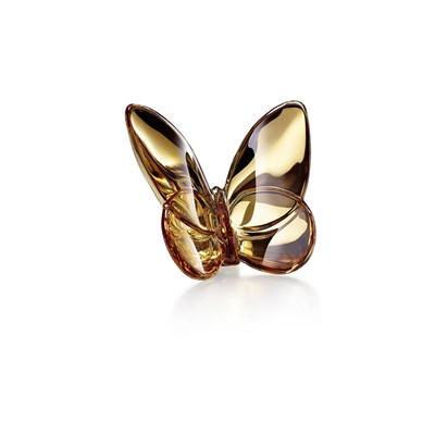 Gilded butterfly