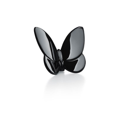Black butterfly