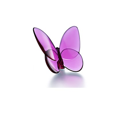 Peony butterfly