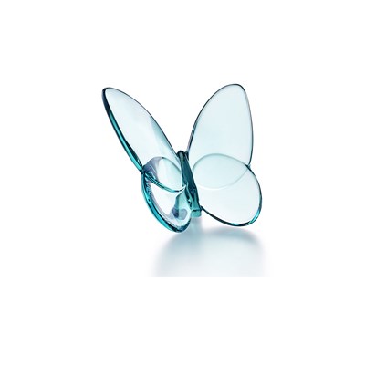 Turquoise butterfly