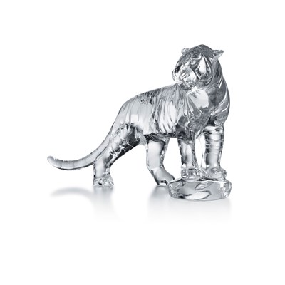 Tiger roaring bengal (Motif)