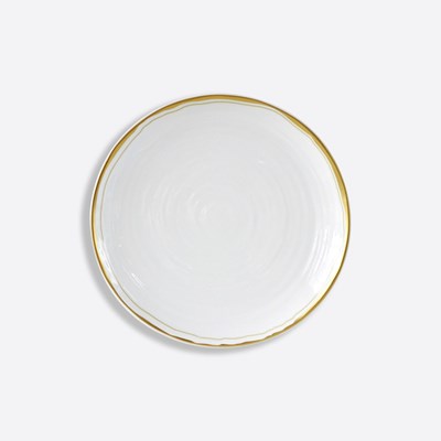Dinner plate