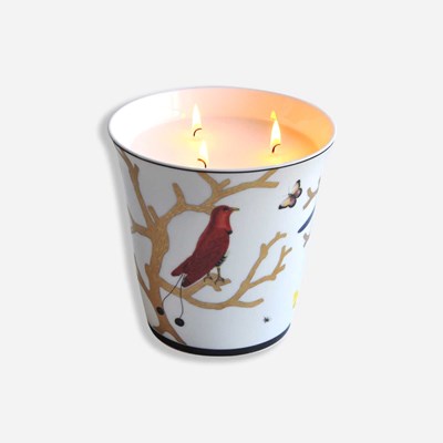 Tumbler + candle home fragrance