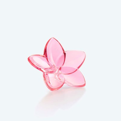 Pink flower
