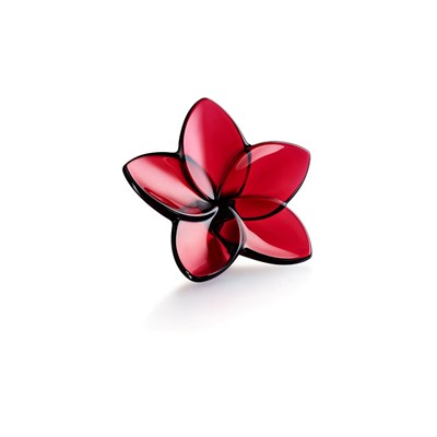 Red flower