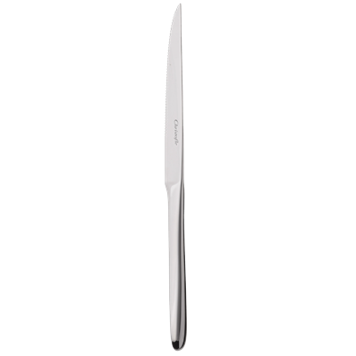 Stainless steel steak knife with serrated blade