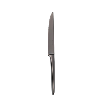 Black stainless steel steak knife