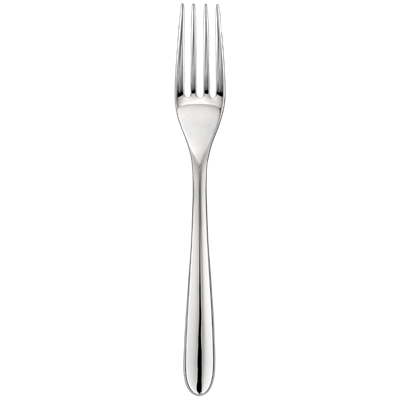 Stainless steel dinner fork