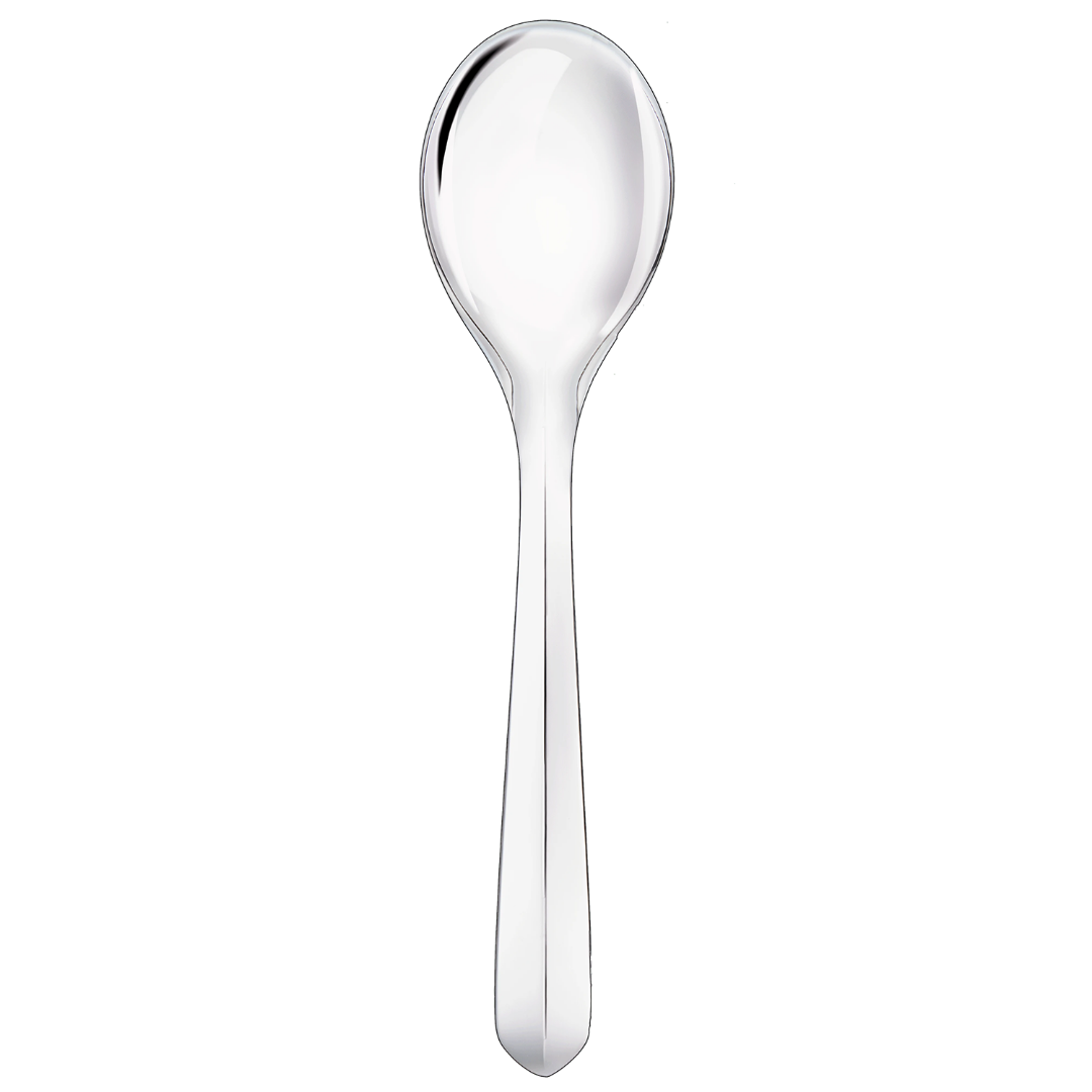 Silver-Plated large universal spoon