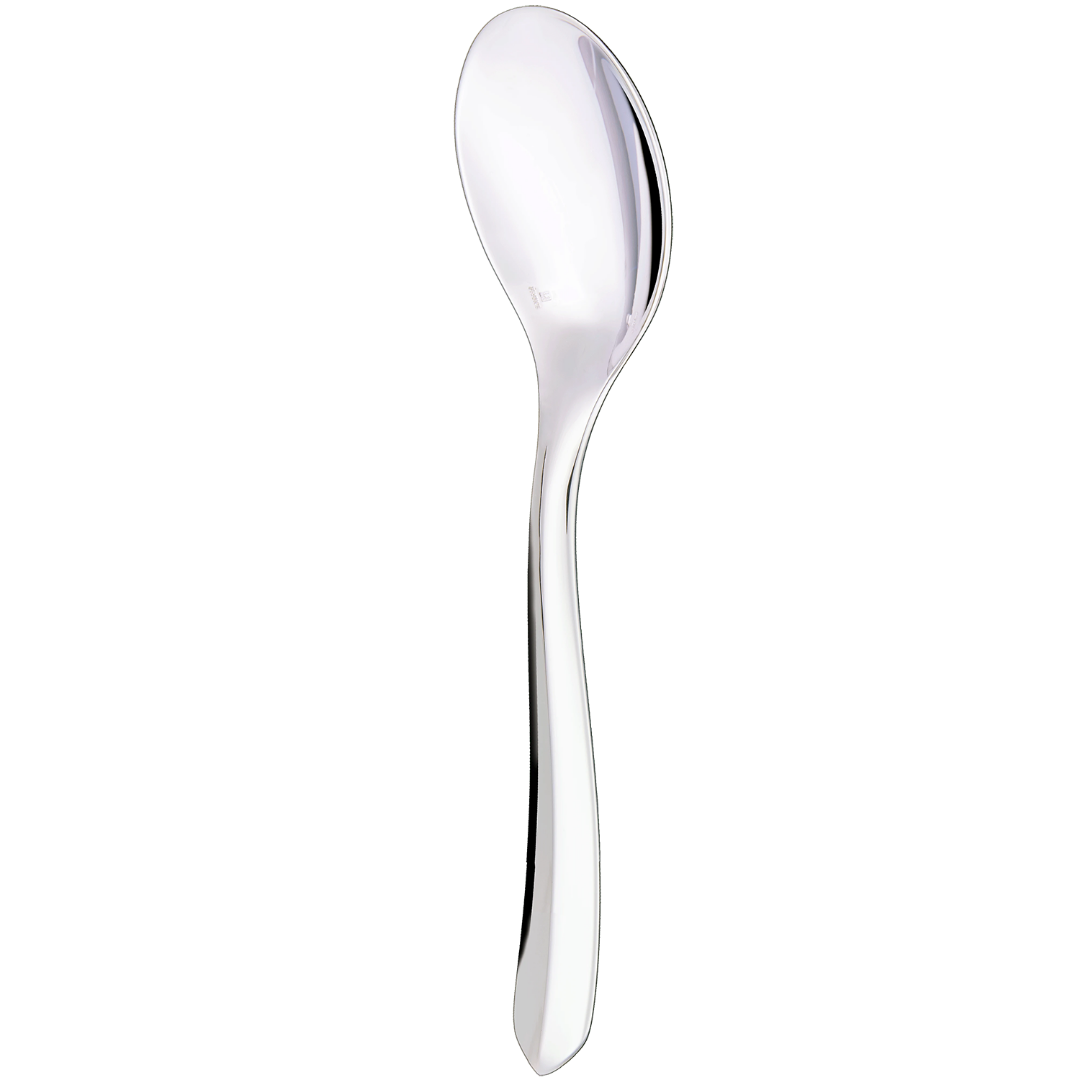 Silver-Plated large universal spoon