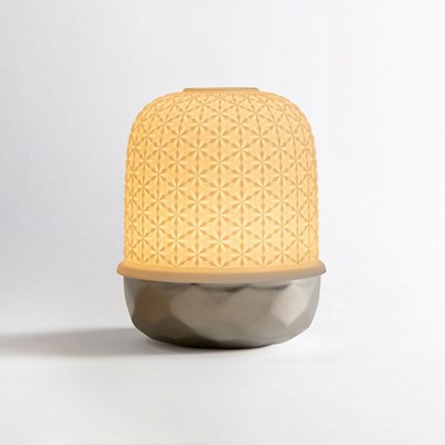 Lampion badiane argent avec LED
