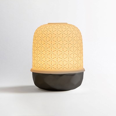Lampion badiane noir avec LED