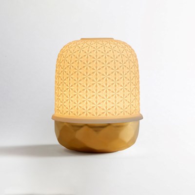 Lampion badiane or avec LED