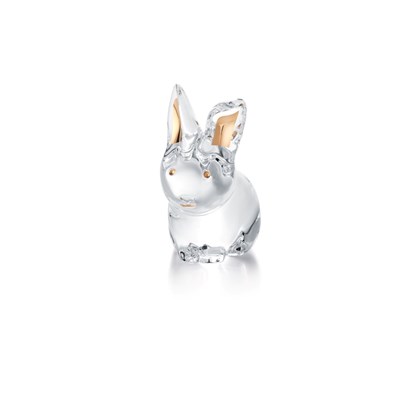Rabbit (Motif)