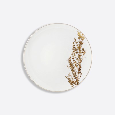 Dinner plate