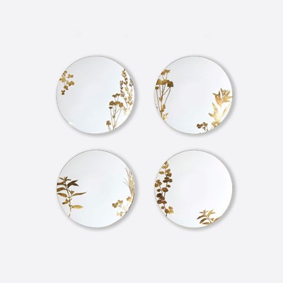 Set of 4 assorted dinner plates
